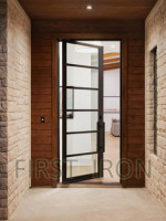 Custom Single Steel Pivot Front Door